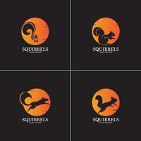 Écureuil créatif animal logo design icône symbole illustration-vector vecteur