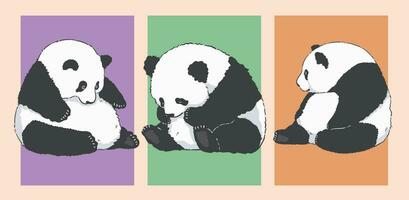 joufflu séance Panda des illustrations , mignonne dessin animé ensemble vecteur