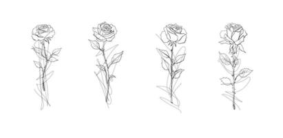 fleur et feuille Rose main dessiner esquisser noir et blanc avec ligne art vecteur