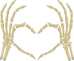 squelette mains dans cœur forme vecteur illustration