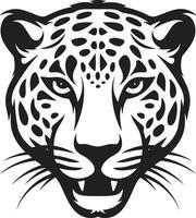 nocturne ruse mystérieux jaguar identité lisse et féroce noir crécerelle emblème vecteur