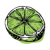 vecteur citron vert clipart. main tiré agrumes icône. fruit illustration. pour imprimer, la toile, conception, décor