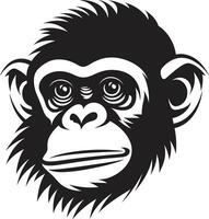 charmant faune icône noir chimpanzé emblème complexe beauté chimpanzé symbole dans noir vecteur