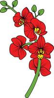 rouge orchidée branche vecteur fleur, illustration de magnifique rouge orchidée fleur