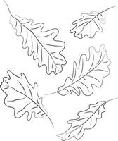 chêne feuilles. ligne art. feuilles tiré avec noir lignes. haute qualité vecteur illustration.