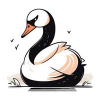 vecteur illustration de une cygne sur une blanc Contexte. dessin animé style.