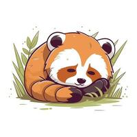 mignonne rouge Panda en train de dormir sur le herbe. vecteur illustration.