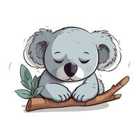 mignonne koala en train de dormir sur une arbre branche. vecteur illustration.