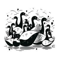 vecteur illustration de cygnes et canards. noir et blanc illustration.