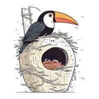 mignonne dessin animé toucan séance dans le nid. vecteur illustration.