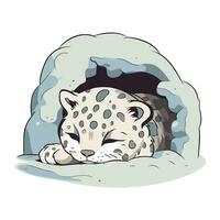 mignonne dessin animé léopard en train de dormir dans une grotte. vecteur illustration.