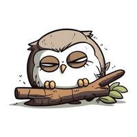 hibou en train de dormir sur une branche. mignonne dessin animé vecteur illustration.