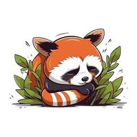 mignonne rouge Panda dessin animé vecteur illustration. isolé sur blanc Contexte.
