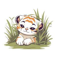 mignonne tigre dans le herbe. vecteur illustration isolé sur blanc Contexte.