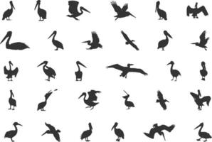 pélican silhouette, marron pélican silhouette, pélican silhouettes, oiseau silhouettes, pélican vecteur