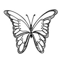 vecteur dessin de papillon. main tiré linéaire illustration de en volant insecte dans noir et blanc couleurs. ancien contour esquisser pour icône ou logo peint par encres. gravure pour salutation cartes