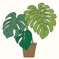 simplicité monstera plante contour à main levée dessin design plat. vecteur