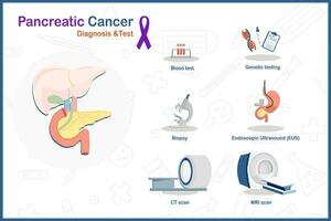 santé se soucier concept dans plat médical vecteur illustration. prostate cancer diagnostic et test, sang test, IRM scanner, ct scan, biopsie, génétique essai et endoscopique échographie.isolé sur blanc Contexte.