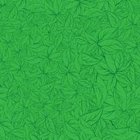 modèle avec feuilles de basilic. vecteur illustration dans vert couleurs