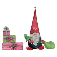Noël gnome avec pin arbre, scandinave elfe avec cadeau, aquarelle vacances illustration vecteur. vecteur