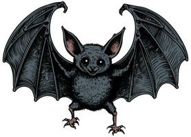 chauve souris sur blanc vecteur