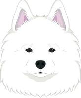 samoyède chien isolé sur blanc Contexte vecteur illustration