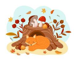 joli renard endormi près d'une souche d'arbre avec des champignons sauvages, des glands, du rowan et des feuilles d'automne. illustration pour enfants, impression d'automne, vecteur