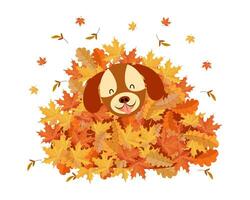 mignonne marrant chien dans une pile de l'automne feuilles. enfants illustration, imprimer, vecteur