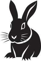 complexe lapin graphique badge gracieux noir lapin symbolisme vecteur