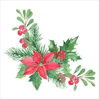 Noël bouquet, coin. forêt pin branches, houx plante avec rouge baies, poinsettia, airelle rouge, airelle. aquarelle main peint illustration. bien pour salutation cartes, impressions, st vecteur