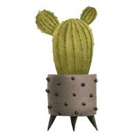 cactus, cactus, succulent, plante d'appartement dans pot. Accueil fleur. isolé illustration avec intérieur plante. confortable Accueil vecteur