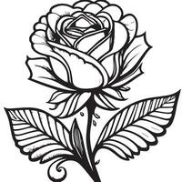 Rose fleur clipart noir blanc images. main tiré des roses. esquisser Rose fleurs avec feuilles vecteur