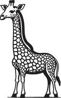 girafe dessin animé personnages isolé sur blanc Contexte. illustration pour les enfants. coloration livre. coloration page. vecteur