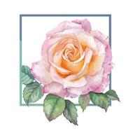 un cadre d'aquarelle rose rose vecteur