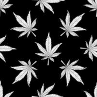 feuilles de cannabis pattern.chanvre sur fond noir vecteur