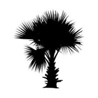 une noir et blanc illustration de une paume arbre, silhouette de paume arbre sur blanc Contexte vecteur art, noir Couleur