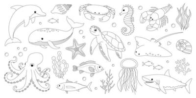 mer et océan animaux coloration page. mignonne dauphin, baleine, crabe, hippocampe, étoile de mer, homard, tortue, Raie, pieuvre, requin, méduse et poisson. Marin créatures contour ensemble. coloration livre pour impression vecteur