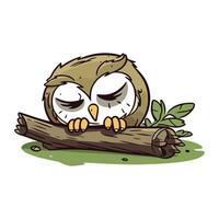 hibou en train de dormir sur le branche. vecteur illustration sur blanc Contexte.