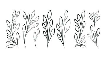 noir et blanc décoratif griffonnage brindilles avec feuilles. ensemble de botanique isolé vecteur branches, esquisser style.