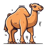 chameau. vecteur illustration de une chameau dans une plat style.