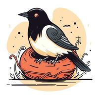 vecteur illustration de une pie oiseau séance sur un Orange panier.