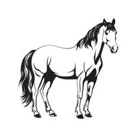 cheval vecteur image, conception, illustration