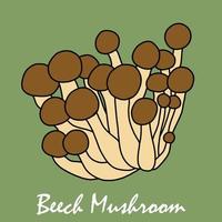 doodle croquis à main levée dessin de légume champignon de hêtre. vecteur