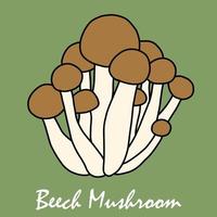 doodle croquis à main levée dessin de légume champignon de hêtre. vecteur