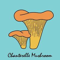 doodle croquis à main levée dessin de légume champignon chanterelle. vecteur