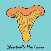 doodle croquis à main levée dessin de légume champignon chanterelle. vecteur