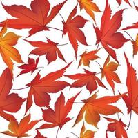 feuilles d'automne modèle sans couture. automne feuille jardin nature arrière plan vecteur