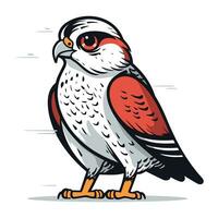 crécerelle oiseau isolé sur blanc Contexte. vecteur illustration dans dessin animé style.