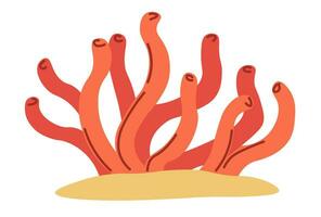 gracilaire rouge algue croissance sur le sable vecteur