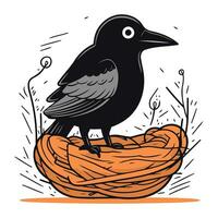 corbeau séance dans une nid. vecteur illustration de une oiseau.